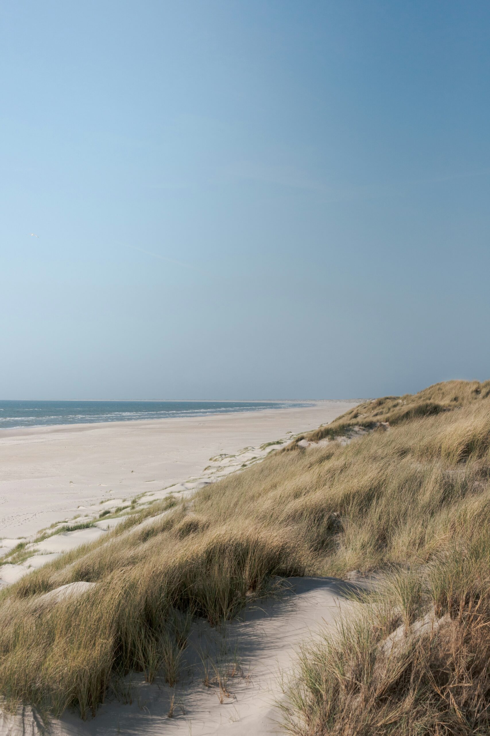 dünen_weite